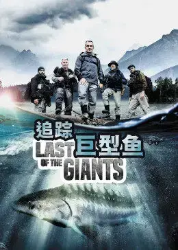 《追踪巨型鱼》:深海探险之旅,挑战未知巨物的生存之战!