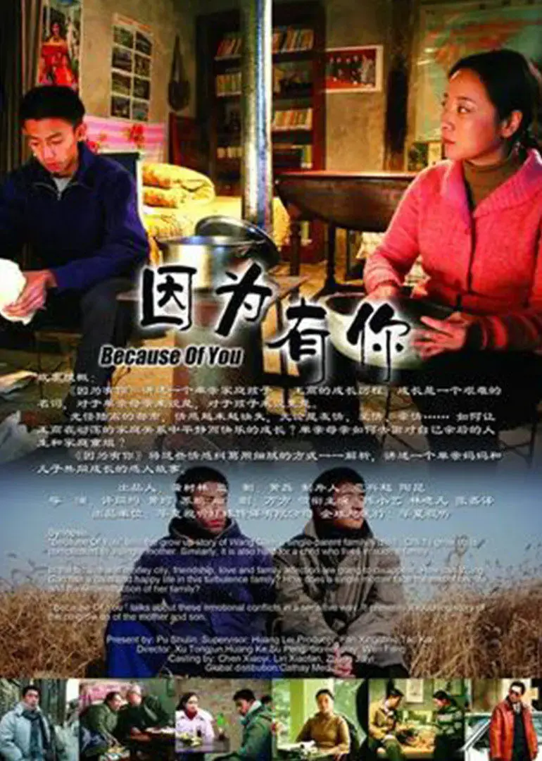《因为有你》:感人至深,爱与陪伴的生命旅程