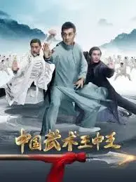 《中国武术王中王》:功夫巅峰对决,传承中华武术精髓