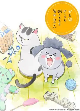 《养狗与猫每天都很开心（中配版）》：萌宠治愈日常，暖心陪伴每一天